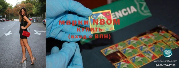 стаф Липки