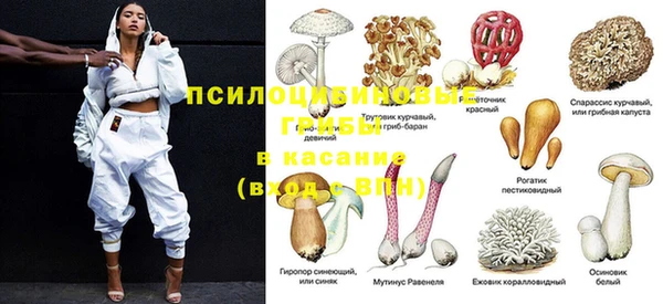 спайс Абдулино