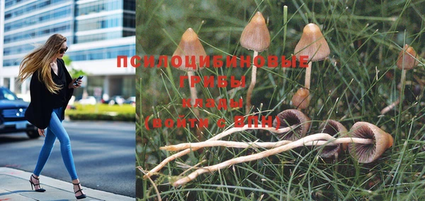 твердый Лихославль