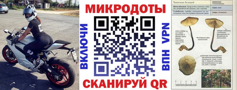 Галлюциногенные грибы Magic Shrooms  blacksprut зеркало  Алатырь  наркошоп 